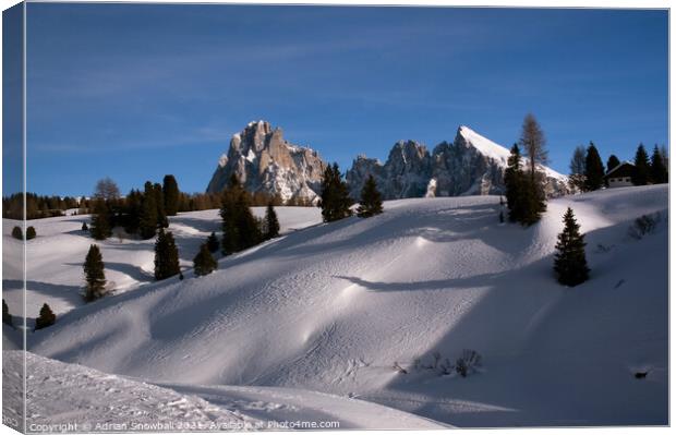 Sassolungo, Val Gardena Canvas Print by Adrian Snowball