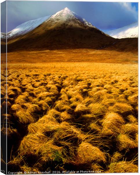 Corrie Ba, Rannoch Moor Canvas Print by Adrian Snowball