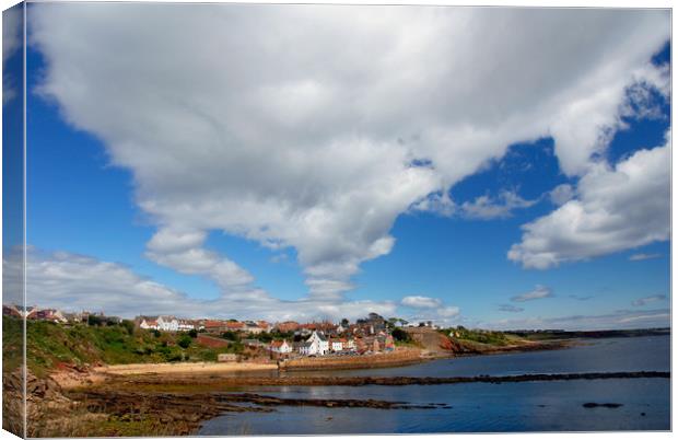 Crail Harbour Canvas Print by Adrian Snowball