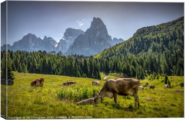 The Matterhorn of the Dolomites Canvas Print by Viv Thompson