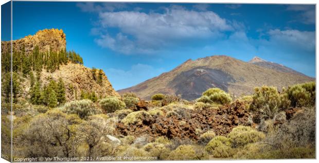 Mount Teide National Park Canvas Print by Viv Thompson