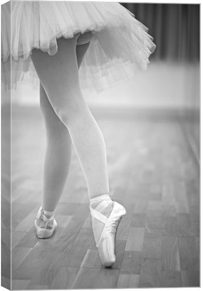 Ballerina Canvas Print by Davide Bressanello