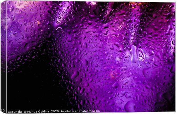 Purple drops Canvas Print by Mariya Obidina