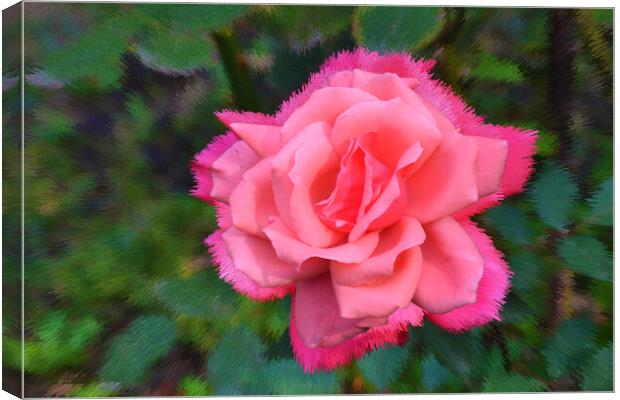 Stylized background with a pink rose Canvas Print by liviu iordache