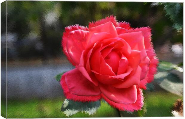 Stylized background with a red rose Canvas Print by liviu iordache