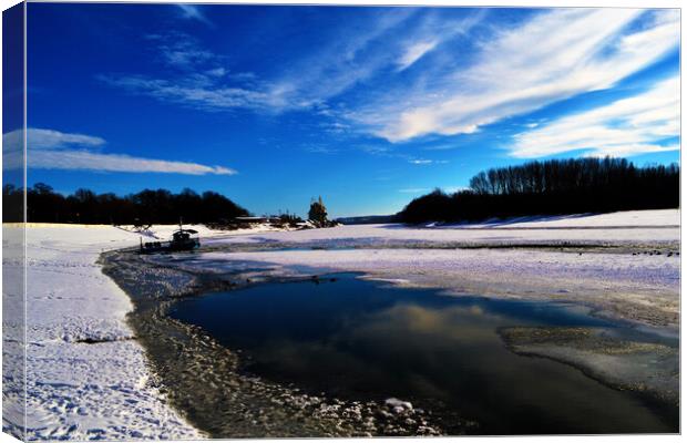 Beautiful winter on the river Borcea Canvas Print by liviu iordache