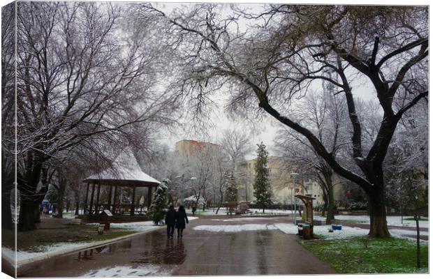 Winter in the park of Calarasi Canvas Print by liviu iordache
