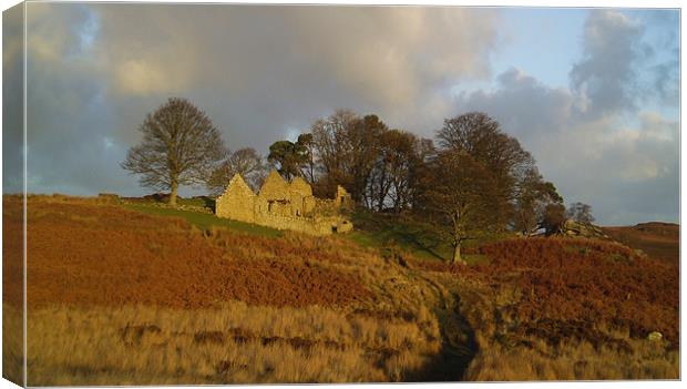 Landscape   -    Blawearie Northumnberland  Canvas Print by David Turnbull