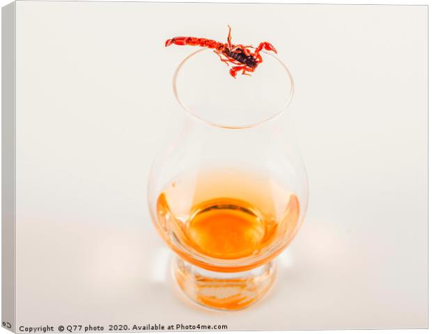 single malt tasting glass with scorpion, single ma Canvas Print by Q77 photo
