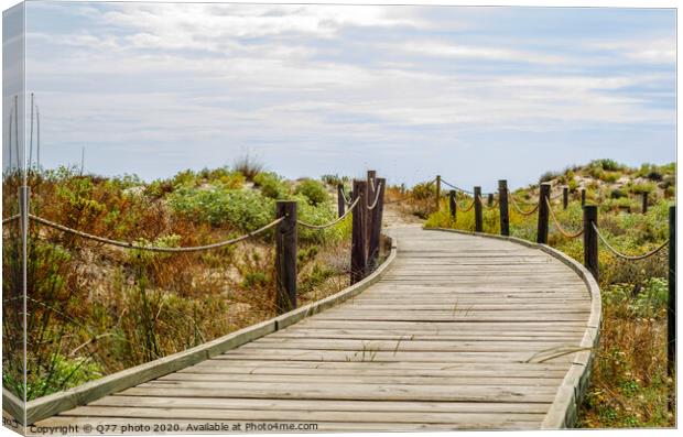 wooden boardwalk in the dunes leading to the sandy beach, the path by the sea, plants on the dunes Canvas Print by Q77 photo
