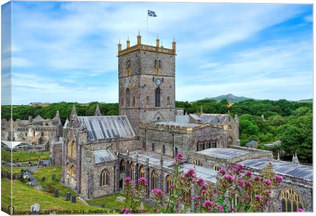 St David's Pembrokeshire Canvas Print by Rick Lindley