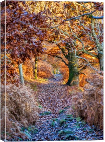 Autumn in Conwy Canvas Print by Rick Lindley