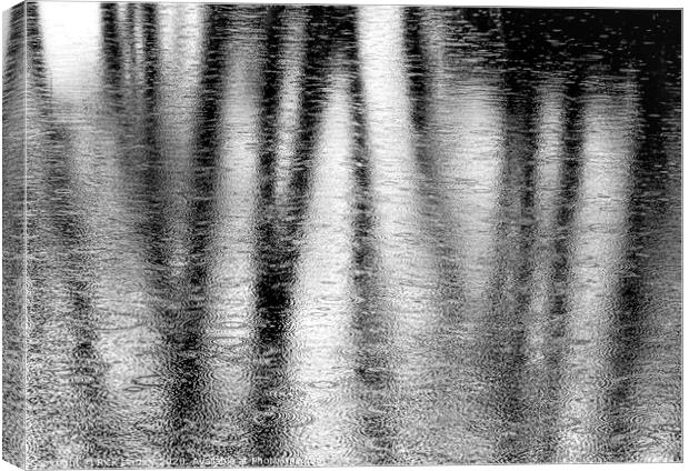 Reflection Canvas Print by Rick Lindley