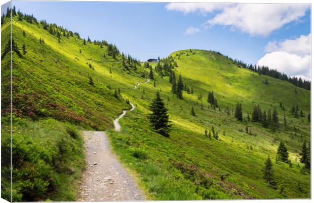 Unrecognizable people walk on beautiful mountain p Canvas Print by Josef Kubes