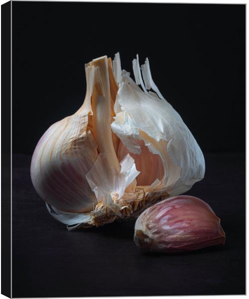 Majestic Garlic on Dark Background Still Life Canvas Print by Ioan Decean