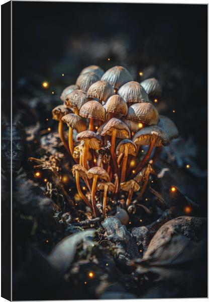 Wild Magic Mushrooms in the Fantasy Forest Canvas Print by Ioan Decean