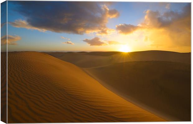 Desert Sunset Canvas Print by Jordan Jelev