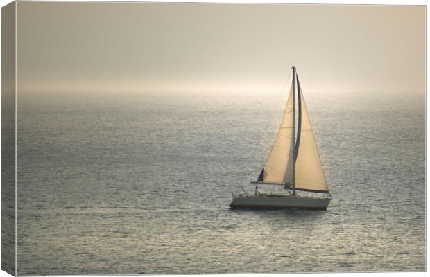 Yacht sailing in sea Canvas Print by Jordan Jelev