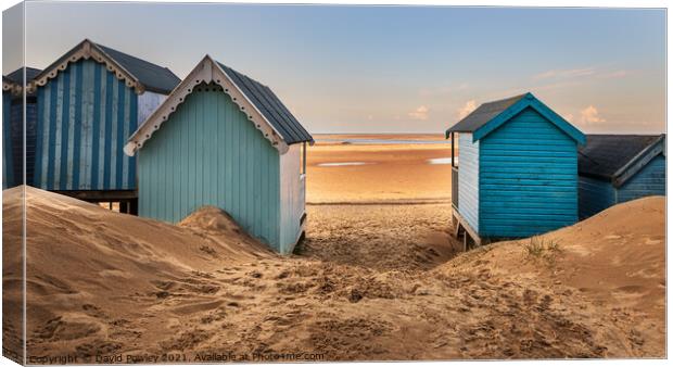 Beach View at Wells-next-the-sea North Norfolk Canvas Print by David Powley