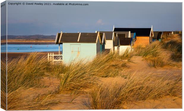 Evening Light on the Beach Huts at Wells  Canvas Print by David Powley