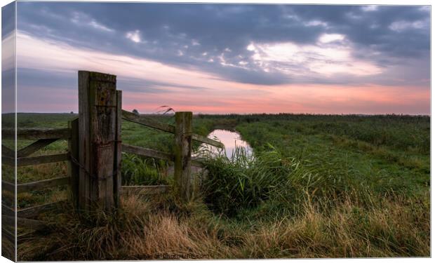 Dawn on Halvergate Marshes Norfolk Canvas Print by David Powley
