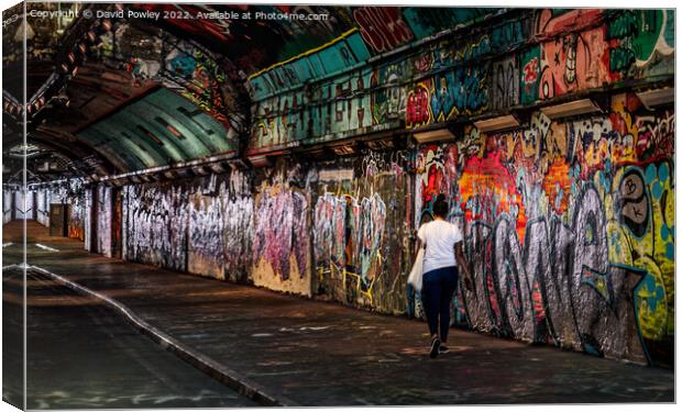Vibrant Graffiti Art in Leake Street Tunnel Canvas Print by David Powley