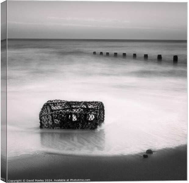 Washed Up On Cromer Beach Canvas Print by David Powley