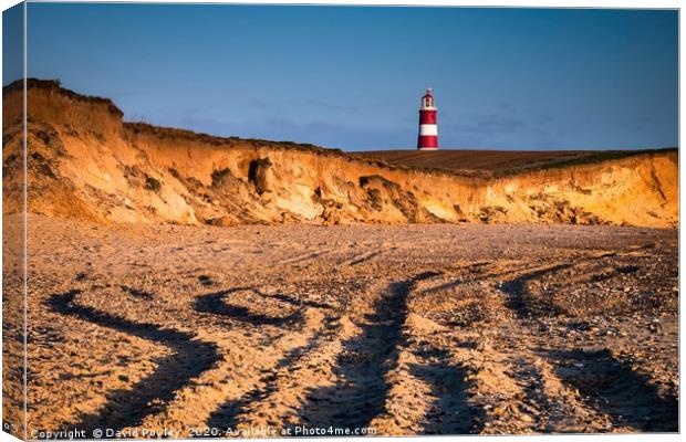 Morning Light on Happisburgh Beach Norfolk Canvas Print by David Powley