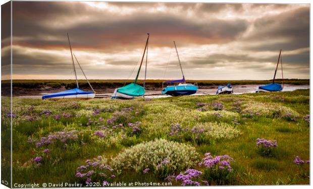 Sea Lavender and boats at Blakeney Canvas Print by David Powley