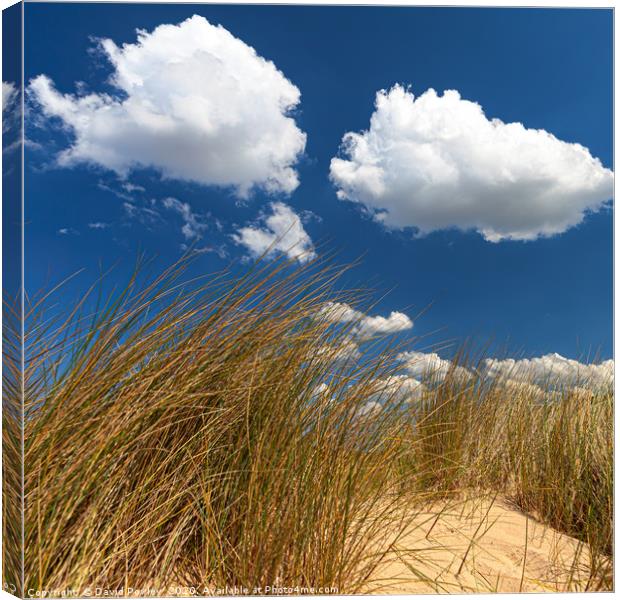 Clouds above the sand dunes Canvas Print by David Powley