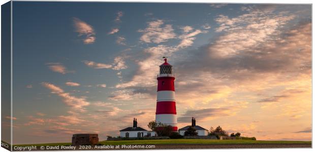 Evening light over Happisburgh Lighthouse Norfolk Canvas Print by David Powley