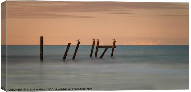 At the end of the day on Happisburgh Beach Canvas Print by David Powley