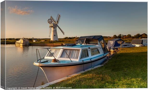 Evening light over Thurne Mill Canvas Print by David Powley