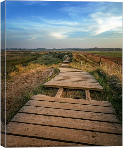 The North Norfolk Coastal Path at Thornham  Canvas Print by David Powley