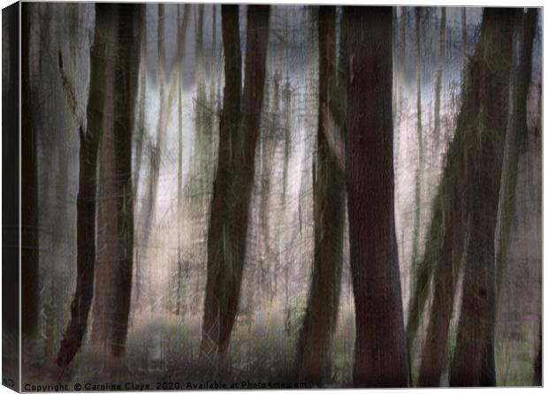 Trees Canvas Print by Caroline Claye