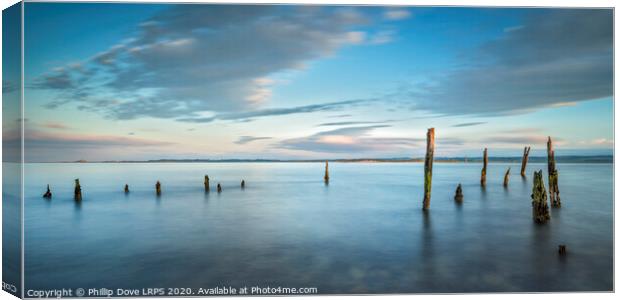 Lindisfarne Jetty Timbers Canvas Print by Phillip Dove LRPS