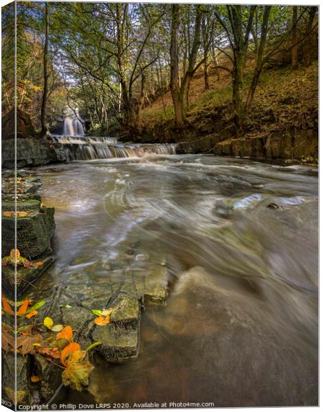 Bowlees in Autumn Canvas Print by Phillip Dove LRPS