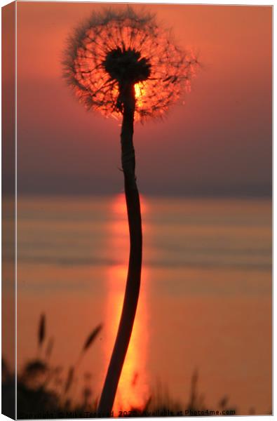 Clocking the sunset Canvas Print by Mike Toogood