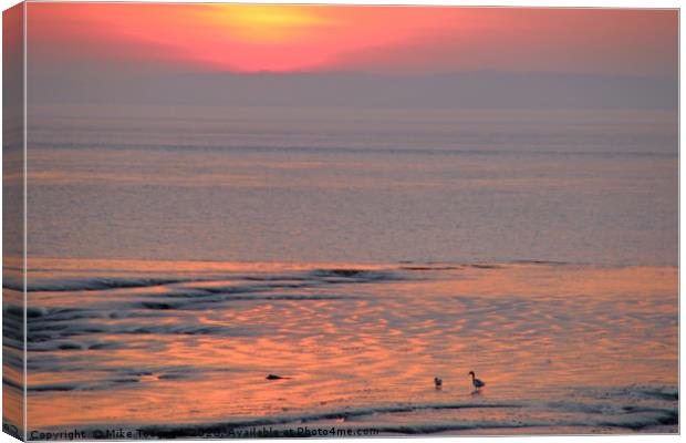 Bristol Channel at sunset Canvas Print by Mike Toogood