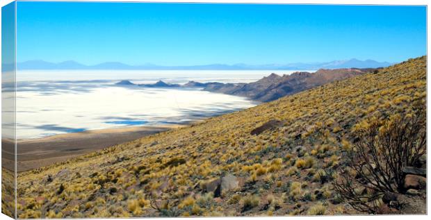 At the edge of the salt flats Canvas Print by Theo Spanellis