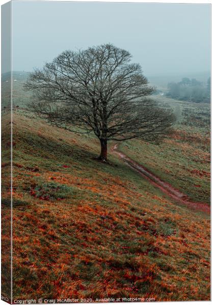 Lone Tree Canvas Print by Craig McAllister