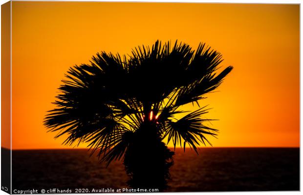sunset palm Canvas Print by Scotland's Scenery