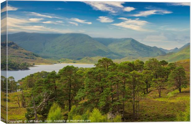 Glen Affric View Canvas Print by Scotland's Scenery