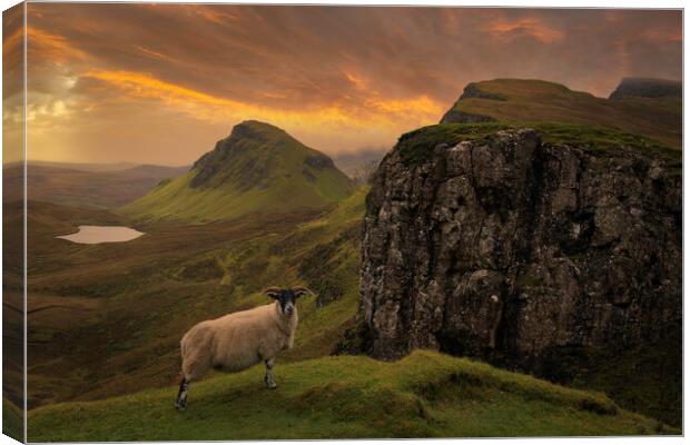 The Quiraing Canvas Print by Scotland's Scenery