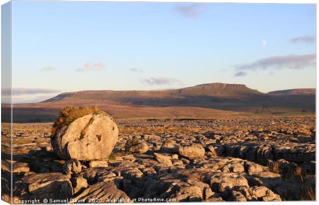 Boulder in Ribblesdale with Pen-y-Ghent Canvas Print by Samuel Davis