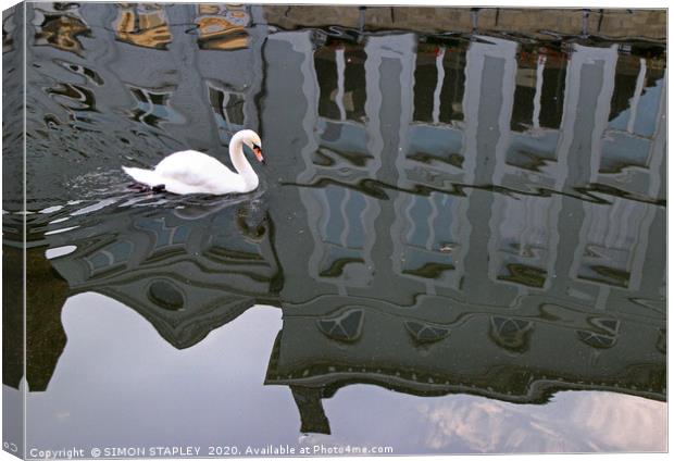 SWAN ON BRUGGES CANAL Canvas Print by SIMON STAPLEY