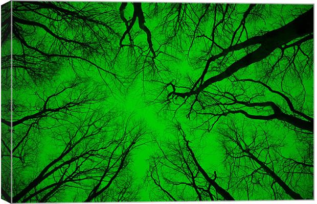 Root or Branch – “Green Positive Image”  Canvas Print by Simon Griffiths