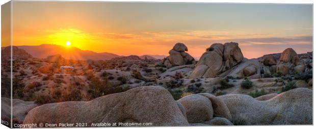 Sunrise at Joshua Tree Park Canvas Print by Dean Packer