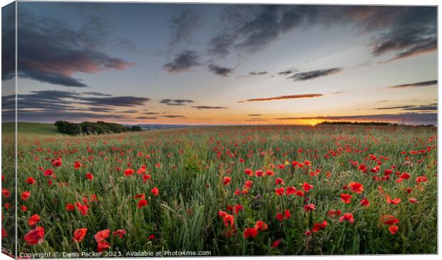Vibrant Poppies Dancing in a Wildflower Meadow at  Canvas Print by Dean Packer