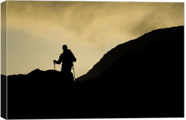 Mountain Guide approaches the summit Canvas Print by Christopher Stores
